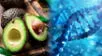 La palta: una joya verde para la salud humana.