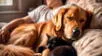 Expertos revelan si es bueno dormir con perros o gatos.