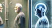 Científicos identifican una nueva proteína con potencial para detener la progresión del Alzheimer