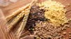 Descubre qué cereal natural puede fortalecer tu sistema inmunológico.