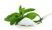 Expertos en nutrición explican si la stevia es buena para la salud.