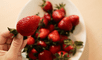 Las fresas no solo son sabrosas, también tienen propiedades beneficiosas para el cuerpo.