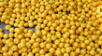 El "oro amarillo" que rejuvenece tu piel: La fruta que combate arrugas y estimula el colágeno