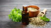 Aceite de orégano: descubre sus propiedades, grandes beneficios y la mejor forma de consumirlo