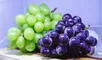 Descubre cómo el consumo de uvas puede beneficiar tu salud visual.