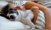 Las mujeres duermen mejor con su perro que con su pareja: descubre la verdadera razón, según la ciencia