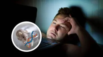 Científicos revelan que se puede vivir sin dormir: descubren en el ADN una mutación que reduce la necesidad de descanso