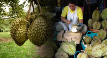 Esta es la fruta rica en fibra, vitaminas y minerales esenciales para tu bienestar