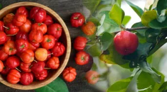 Acerola: La superfruta que multiplica por 100 la vitamina C de la naranja y combate la fatiga