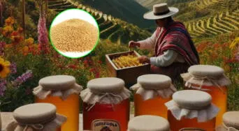 Miel y granola andina: los superalimentos que potencian tu energía y refuerzan tus defensas