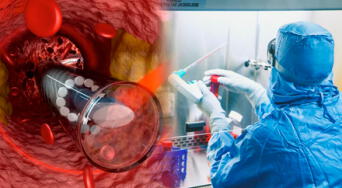 Nueva esperanza en la medicina: científicos crean vasos sanguíneos con inteligencia artificial