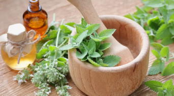 Regenera tu páncreas y mejora la digestión con esta poderosa planta usada en la medicina natural
