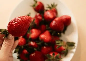 ¿Las fresas son buenas para la salud? Esto opinan los expertos