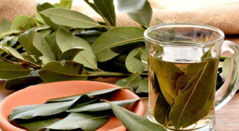 La infusión natural que alivia el estrés, mejora la memoria y equilibra tu digestión
