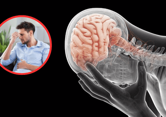 Científicos hallan posible solución para revertir la ansiedad y la depresión
