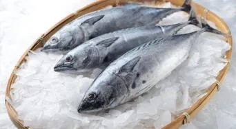 ¿Es saludable comer bonito? Conoce sus propiedades y riesgos