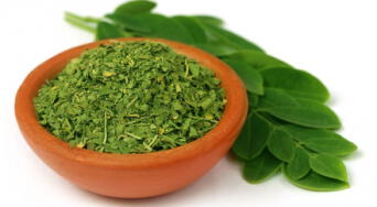Moringa: la planta que combate el asma, el cáncer, protege el hígado, regula la presión y mucho más