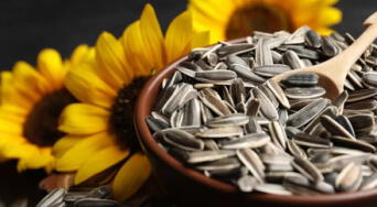 Semillas de girasol: beneficios, valor nutricional y cuántas puedes comer al día para mantener tu salud