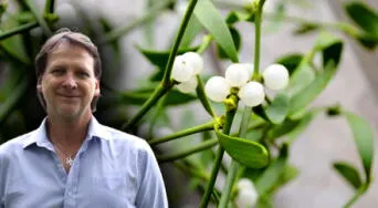 Terapia del muérdago: conoce el tratamiento que ayudó al actor Christian Thorsen en su lucha contra el cáncer