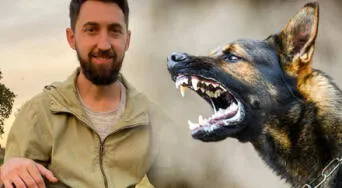 ¡Cuidado! No hagas esto si te acercas a un perro que no conoces, según un entrenador canino