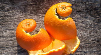 ¿Por qué muchas personas dejan las cáscaras de mandarina en sus ventanas y puertas? Conoce este gran truco