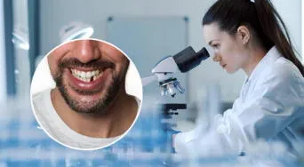 Avance médico: un nuevo tratamiento permitiría recuperar dientes perdidos en adultos
