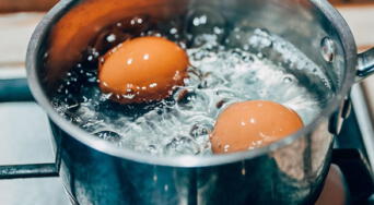 ¿Sabías que puedes nutrir tus plantas con este fertilizante natural? Descubre sus beneficios reales