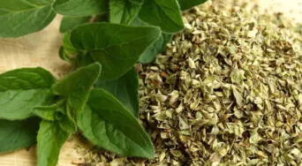 Infusión de orégano: propiedades medicinales, cómo prepararla y cuándo tomarla