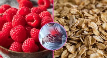 Experta revela cómo mejorar el colesterol con frambuesas y avena integral ¡Descubre cómo prepararlos!