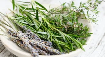 Las 3 plantas medicinales que ayudan a eliminar cálculos renales naturalmente, según expertos