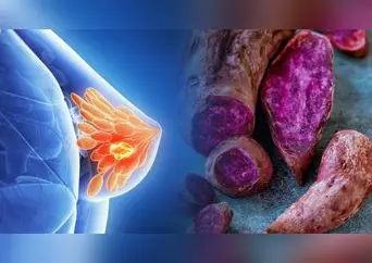 ¡No la botes! La cáscara del camote morado podría ayudar a prevenir el cáncer de mama, según especialistas