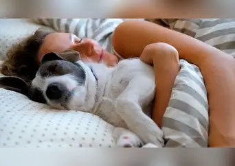 Las mujeres duermen mejor con su perro que con su pareja: descubre la verdadera razón, según la ciencia