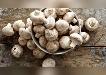 Comer champiñones puede mejorar tu sistema inmune y digestivo: conoce sus principales beneficios