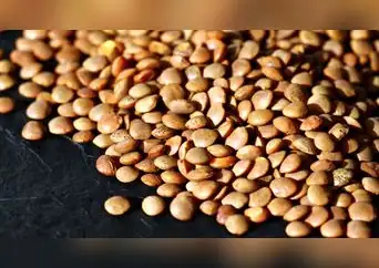 Lentejas: el alimento milenario que combate la ansiedad y protege tu corazón Lentejas: el alimento milenario que combate la ansiedad y protege tu corazón