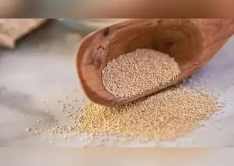 Levadura de cerveza: el suplemento natural que mejora tu digestión y piel Levadura de cerveza: el suplemento natural que mejora tu digestión y piel