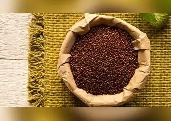 ¿Qué es la cañihua y para qué sirve? Conoce sus propiedades