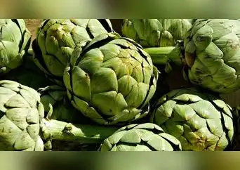 Alcachofa: beneficios para diabéticos, anémicos y personas con fatiga Alcachofa: beneficios para diabéticos, anémicos y personas con fatiga