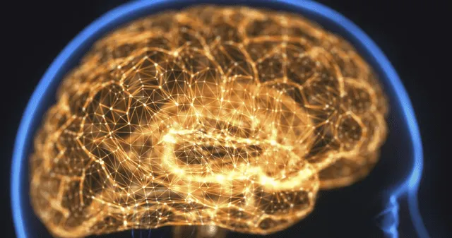 El uso de psicodélicos en entornos controlados abre una ventana esperanzadora para la neurorehabilitación post-ictus. El uso de psicodélicos en entornos controlados abre una ventana esperanzadora para la neurorehabilitación post-ictus.