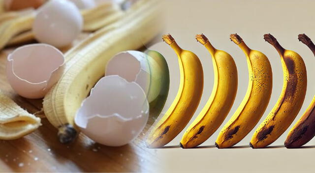Las cáscaras de muchos alimentos pueden ser utilizados como fertilizante natural. Foto: composición GLR/difusión Las cáscaras de muchos alimentos pueden ser utilizados como fertilizante natural. Foto: composición GLR/difusión