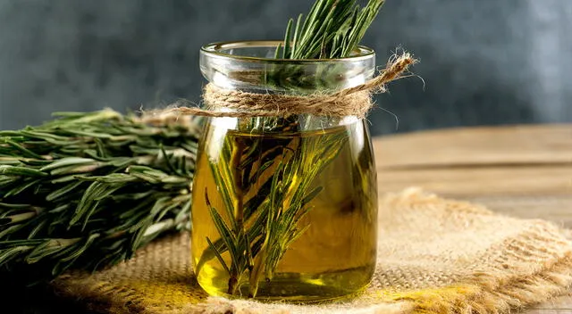 El aceite de romero para el cabello es sencillo y se puede aplicar de diversas maneras. El aceite de romero para el cabello es sencillo y se puede aplicar de diversas maneras.