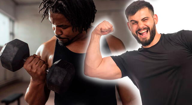 El curl martillo unilateral es un ejercicio completo y efectivo para quienes buscan fuerza, simetría y definición en los brazos. El curl martillo unilateral es un ejercicio completo y efectivo para quienes buscan fuerza, simetría y definición en los brazos.