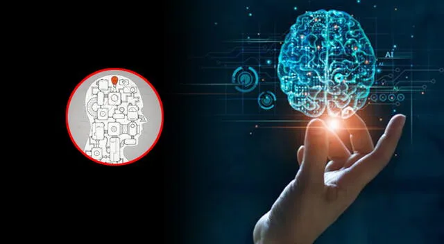 Cómo funciona el cerebro cuando aprendemos algo nuevo es algo que la ciencia ha estado investigando durante años. Cómo funciona el cerebro cuando aprendemos algo nuevo es algo que la ciencia ha estado investigando durante años.