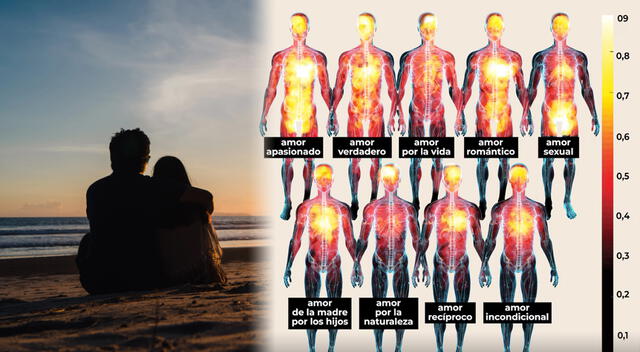 Descubre cómo cambia tu cuerpo cuando te enamoras. Foto: composición GLR/difusión Descubre cómo cambia tu cuerpo cuando te enamoras. Foto: composición GLR/difusión