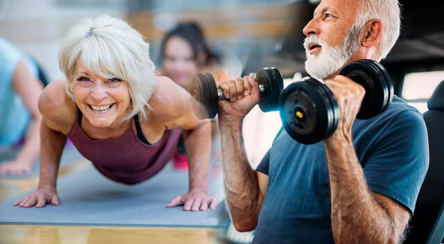El entrenamiento de fuerza, también llamado entrenamiento de resistencia, es la herramienta más efectiva para contrarrestar la pérdida de masa muscular. El entrenamiento de fuerza, también llamado entrenamiento de resistencia, es la herramienta más efectiva para contrarrestar la pérdida de masa muscular.