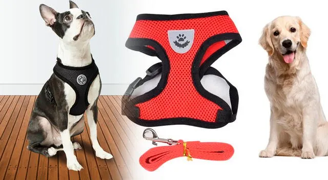 Usar un pretal en lugar de una correa tradicional ofrece múltiples beneficios para la salud y el comportamiento del perro. Usar un pretal en lugar de una correa tradicional ofrece múltiples beneficios para la salud y el comportamiento del perro.
