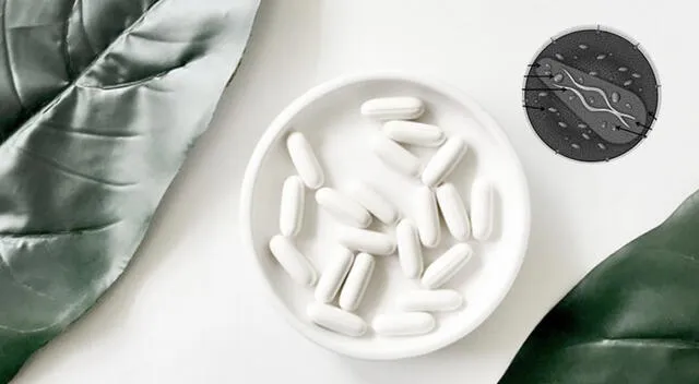 Recuerda consultar con un experto antes de empezar un tratamiento contra alguna enfermedad. Foto: composición GLR/difusión Recuerda consultar con un experto antes de empezar un tratamiento contra alguna enfermedad. Foto: composición GLR/difusión