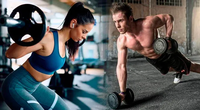 El tipo de entrenamiento que más beneficia al organismo en esta etapa es el entrenamiento de fuerza. El tipo de entrenamiento que más beneficia al organismo en esta etapa es el entrenamiento de fuerza.
