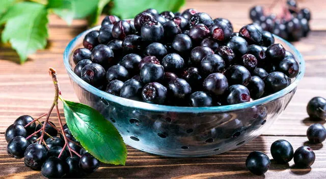 Una de las frutas con más beneficios ocultos para la salud es la aronia negra. Aunque es poco conocida en el país, esta fruta oscura está cargada de antioxidantes naturales. Una de las frutas con más beneficios ocultos para la salud es la aronia negra. Aunque es poco conocida en el país, esta fruta oscura está cargada de antioxidantes naturales.
