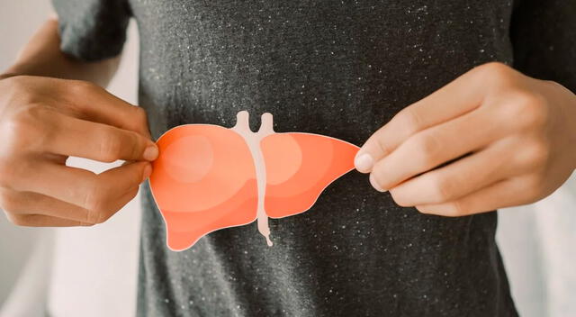 Cuando el hígado no puede cumplir bien su función digestiva, aparecen molestias como náuseas frecuentes o falta de apetito. Cuando el hígado no puede cumplir bien su función digestiva, aparecen molestias como náuseas frecuentes o falta de apetito.