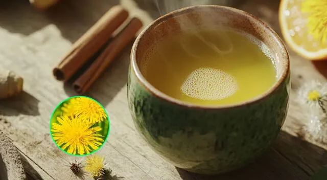 Consume el té de diente de león y descubre sus grandes beneficios para tu salud. Foto: composición GLR/difusión Consume el té de diente de león y descubre sus grandes beneficios para tu salud. Foto: composición GLR/difusión